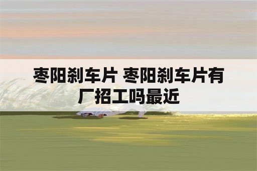 枣阳刹车片 枣阳刹车片有厂招工吗最近