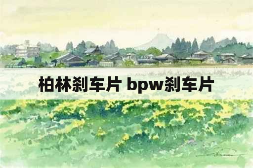 柏林刹车片 bpw刹车片