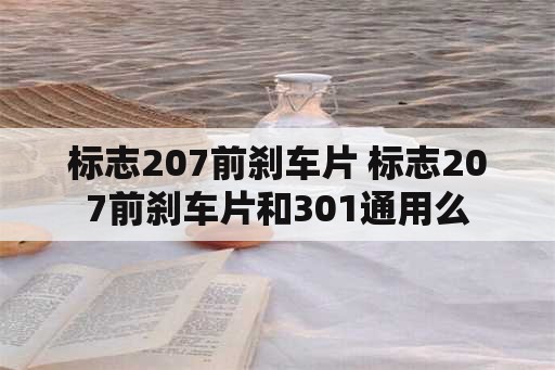 标志207前刹车片 标志207前刹车片和301通用么