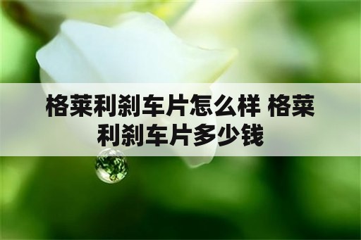 格莱利刹车片怎么样 格菜利刹车片多少钱