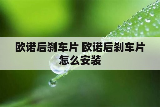 欧诺后刹车片 欧诺后刹车片怎么安装