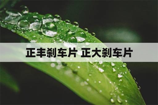 正丰刹车片 正大刹车片