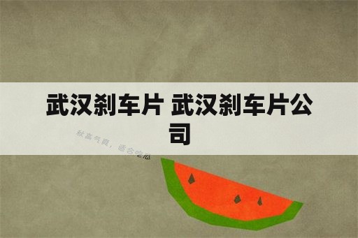 武汉刹车片 武汉刹车片公司