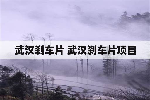 武汉刹车片 武汉刹车片项目