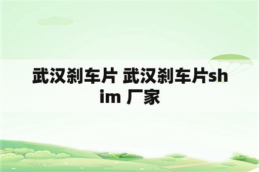 武汉刹车片 武汉刹车片shim 厂家