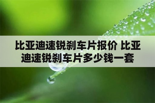 比亚迪速锐刹车片报价 比亚迪速锐刹车片多少钱一套