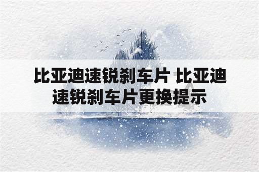 比亚迪速锐刹车片 比亚迪速锐刹车片更换提示