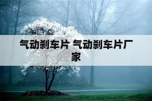 气动刹车片 气动刹车片厂家