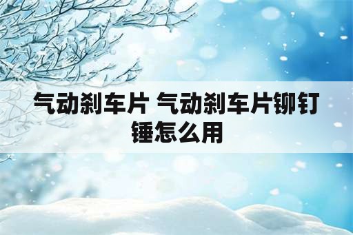 气动刹车片 气动刹车片铆钉锤怎么用