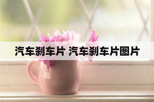 汽车刹车片 汽车刹车片图片