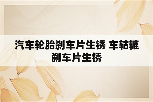 汽车轮胎刹车片生锈 车轱辘刹车片生锈