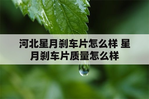 河北星月刹车片怎么样 星月刹车片质量怎么样