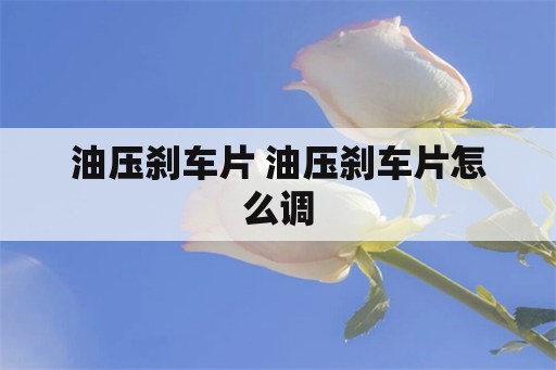 油压刹车片 油压刹车片怎么调