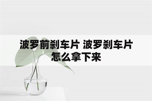 波罗前刹车片 波罗刹车片怎么拿下来