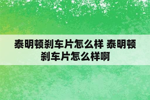 泰明顿刹车片怎么样 泰明顿刹车片怎么样啊