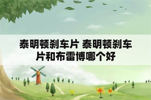 泰明顿刹车片 泰明顿刹车片和布雷博哪个好