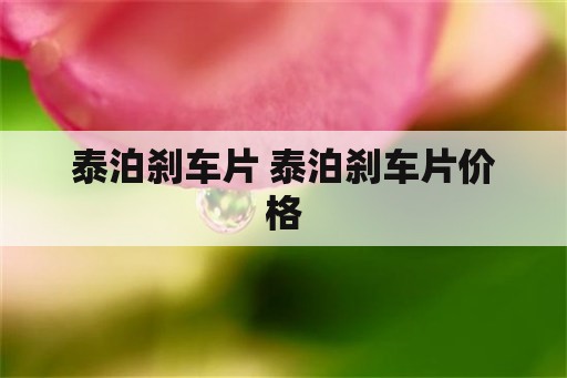 泰泊刹车片 泰泊刹车片价格