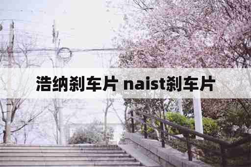 浩纳刹车片 naist刹车片