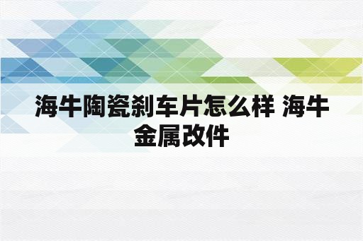 海牛陶瓷刹车片怎么样 海牛金属改件