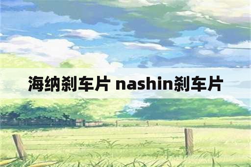 海纳刹车片 nashin刹车片