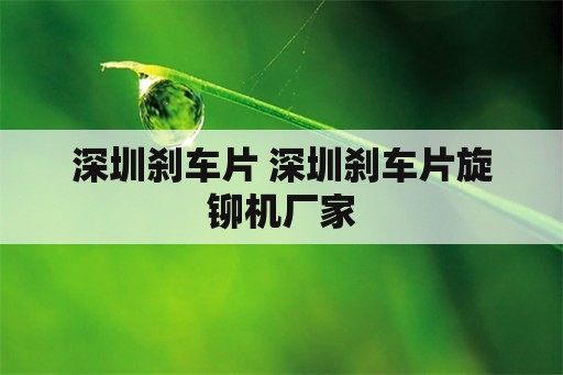 深圳刹车片 深圳刹车片旋铆机厂家