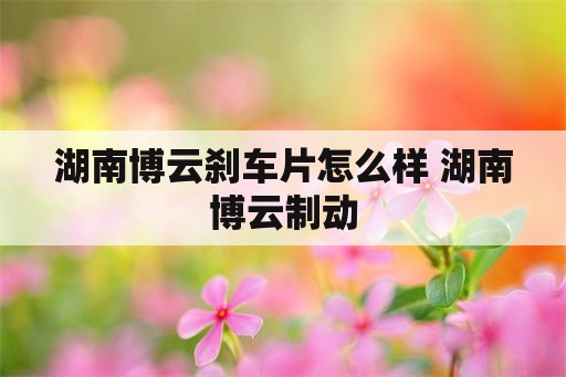 湖南博云刹车片怎么样 湖南博云制动