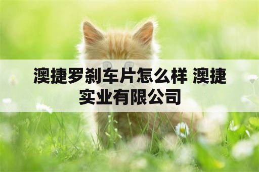 澳捷罗刹车片怎么样 澳捷实业有限公司