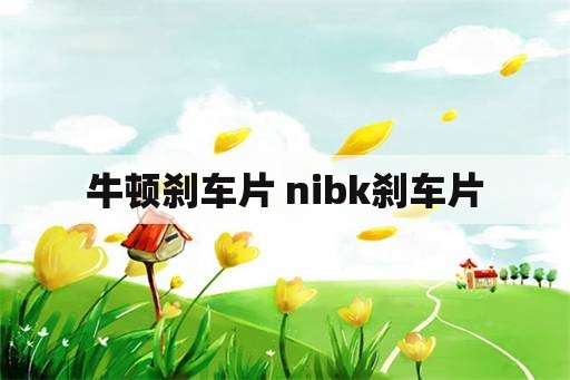 牛顿刹车片 nibk刹车片