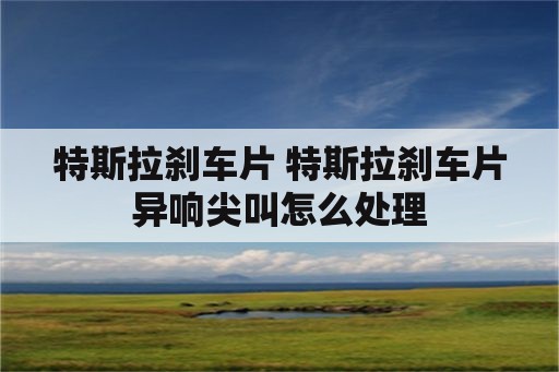 特斯拉刹车片 特斯拉刹车片异响尖叫怎么处理