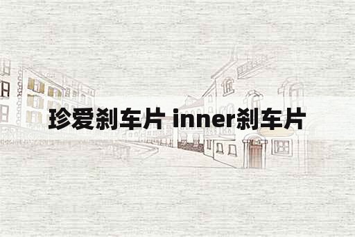 珍爱刹车片 inner刹车片