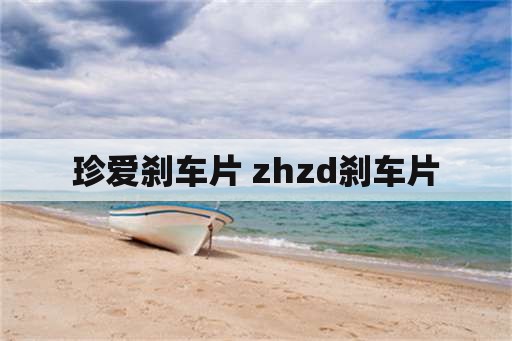 珍爱刹车片 zhzd刹车片