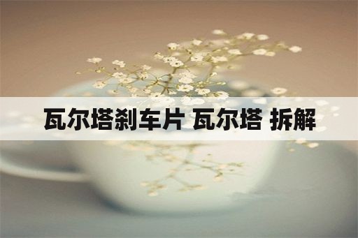 瓦尔塔刹车片 瓦尔塔 拆解