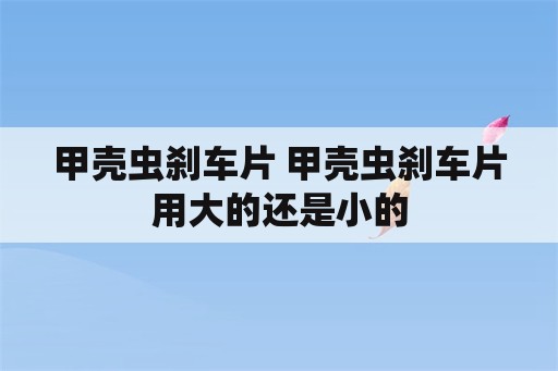 甲壳虫刹车片 甲壳虫刹车片用大的还是小的