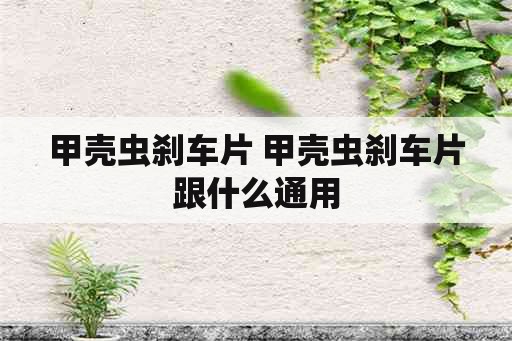 甲壳虫刹车片 甲壳虫刹车片跟什么通用