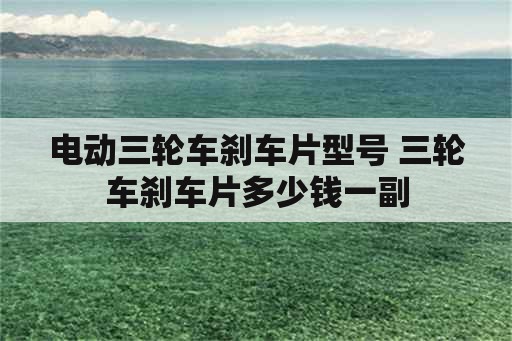 电动三轮车刹车片型号 三轮车刹车片多少钱一副