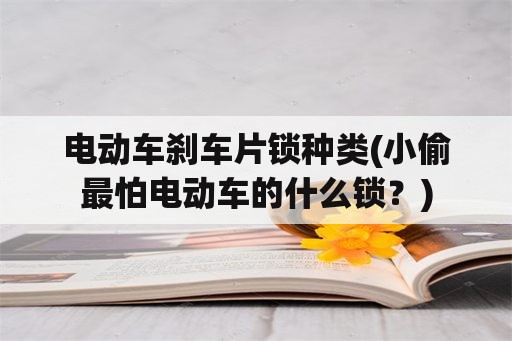 电动车刹车片锁种类(小偷最怕电动车的什么锁？)