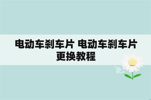 电动车刹车片 电动车刹车片更换教程