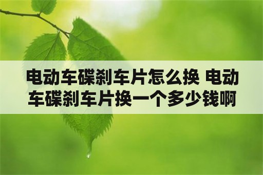 电动车碟刹车片怎么换 电动车碟刹车片换一个多少钱啊