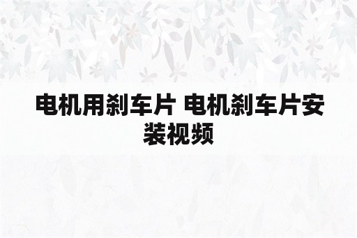 电机用刹车片 电机刹车片安装视频