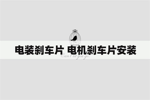 电装刹车片 电机刹车片安装