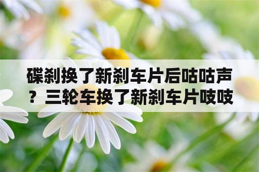 碟刹换了新刹车片后咕咕声？三轮车换了新刹车片吱吱响什么原因？