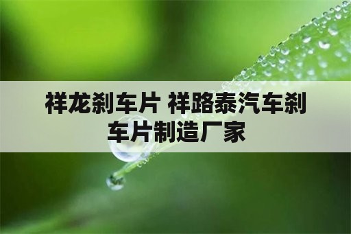 祥龙刹车片 祥路泰汽车刹车片制造厂家