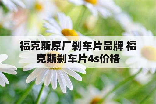 福克斯原厂刹车片品牌 福克斯刹车片4s价格