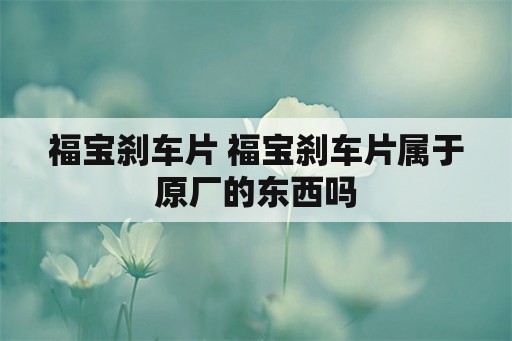 福宝刹车片 福宝刹车片属于原厂的东西吗