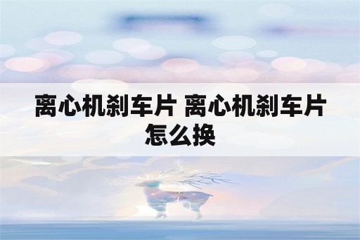 离心机刹车片 离心机刹车片怎么换