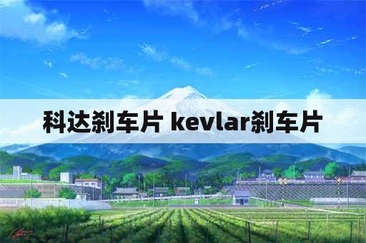 科达刹车片 kevlar刹车片