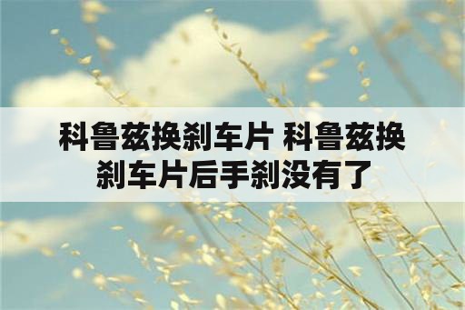 科鲁兹换刹车片 科鲁兹换刹车片后手刹没有了