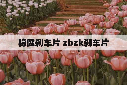 稳健刹车片 zbzk刹车片