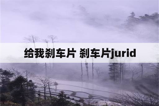 给我刹车片 刹车片jurid