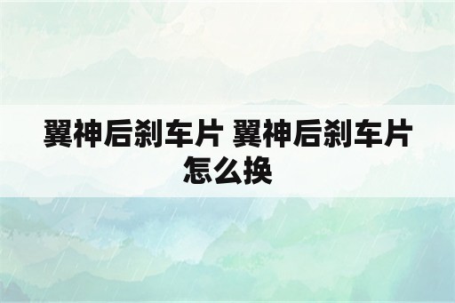 翼神后刹车片 翼神后刹车片怎么换